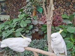 -南宫五洲植物乐园