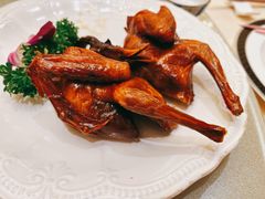 红烧乳鸽-沙龙酒家