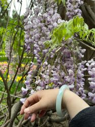 -北京七彩云南翡翠珠宝旗舰店(月坛店)