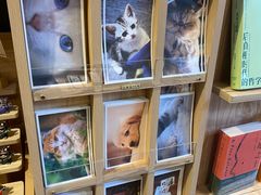 -晓风书屋(大学路店)