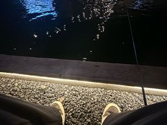 -DGE季风钓虾营地·团建·聚会