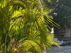 -813芭依珊 BAESAn(皇冠十畝地店)