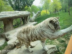 -北京野生动物园