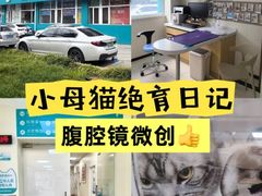 -美联众合动物医院·24h京西诊疗中心
