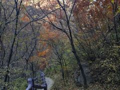 -黑龙潭风景区