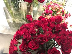 -植物学家的女儿(北马道巷店)