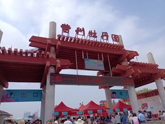 -曹州牡丹园