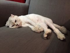 iphone_upload_pic-MIKAKU(万达广场上海宝山店)