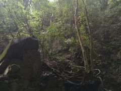 沿途风景-藏龙百瀑风景区