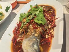 -杨氏青龙虾·羊蝎子(金盛路总店)