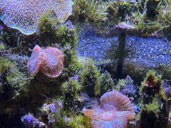 -南昌融创海世界
