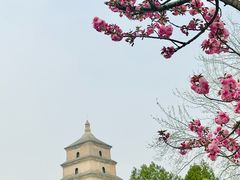 -大雁塔文化休闲景区-北广场