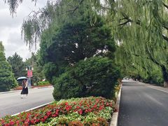 -北陵公园