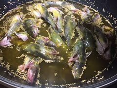 黄辣丁鲜鱼锅-小小河边鱼(天润城店)