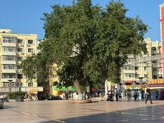 -圣·阿列克谢耶夫教堂