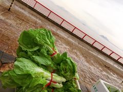 -沈家门海鲜夜排档(东港店)