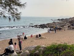 -广东惠东海龟国家级自然保护区
