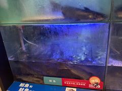 -鱼酷活鱼烤鱼(南京水游城店)