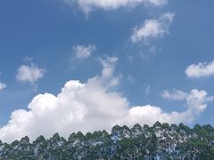 -火炉山森林公园