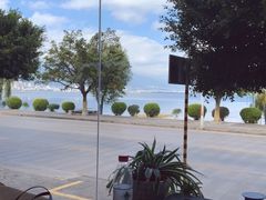 -野菌皇海景野生菌火锅(滨海大道店)