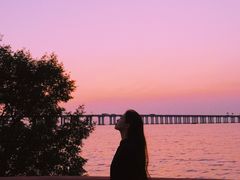 -宝安西湾红树林湿地公园