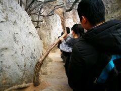 -嵩山少林文化旅游景区