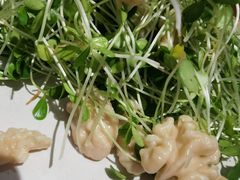 -朵朵开素食餐厅(后宰门街店)