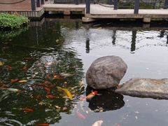 -长阳创谷