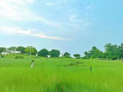 -红花山公园