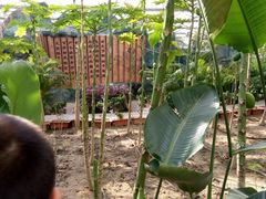 -天源吉布世温泉水乐园