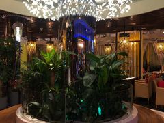 大堂-润园四季椰子鸡火锅(海上世界店)