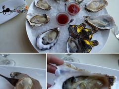 生蚝-Oyster Talks 四度蚝法餐厅