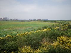 -天津东丽湖风景区