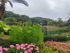 -云溪植物园