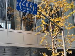 -东方体育中心(地铁站)