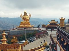 -青海藏文化博物院