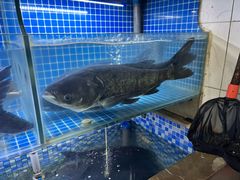 -宝荣鱼馆·临湖之宴(千岛湖店)