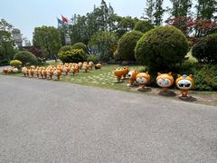 -上海长兴岛郊野公园