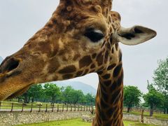 -西安秦岭野生动物园