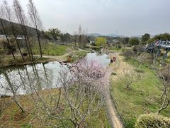 -无锡梅园公园