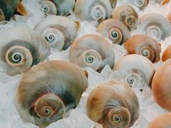 -漢咖啡·全服务式自助晚餐(武汉洲际酒店)