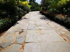 -青岛银沙滩温德姆至尊酒店