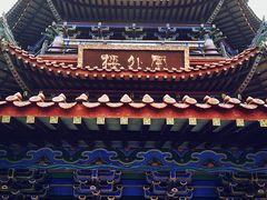 -铁山坪森林公园