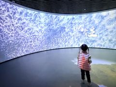 -中国湿地博物馆