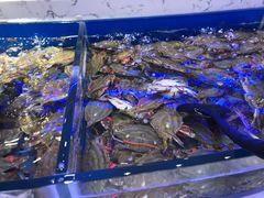 -澜悦港海鲜体验主题餐厅