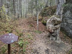 -嘉荫恐龙国家地质公园