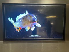 -阿五黄河大鲤鱼(英协路店)