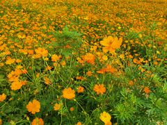 -苏州吴中太湖旅游区