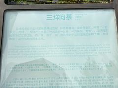 -三垟湿地