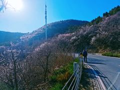 -妙峰山风景名胜区